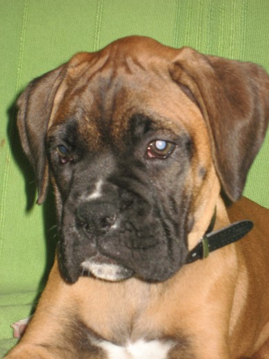 bono con 2 meses recien cumplidos. bono con 2 meses recien cumplidos.