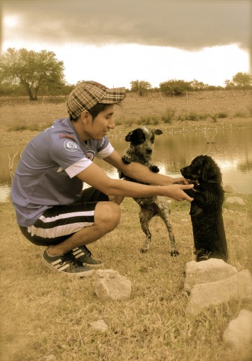 pasenado los perros 