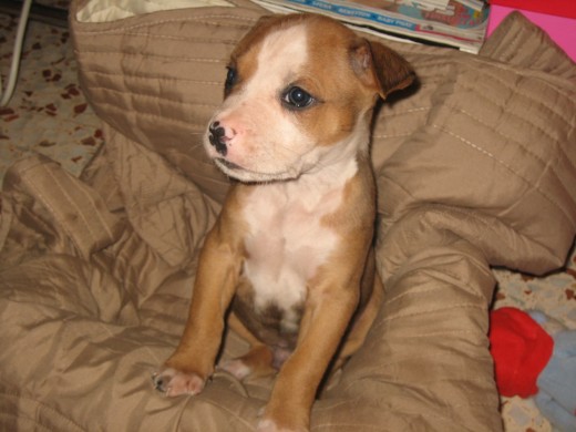 Mi Rudy es un encanto!!! Mi Rudy es un encanto!!!