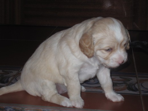 Luna 28 dias Luna 28 dias