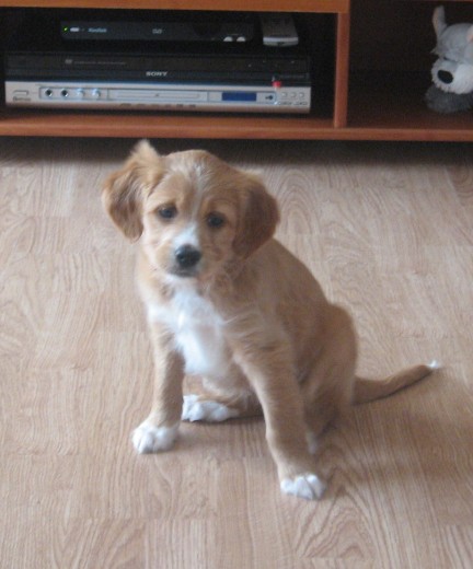 Alma 1 mes Alma 1 mes