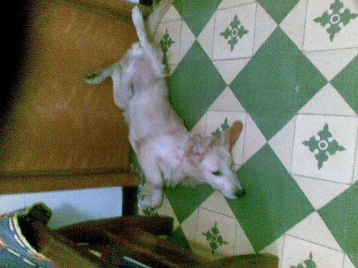 asi duermo siempree.Q ;)