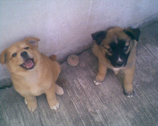 Hermanas Hermanas