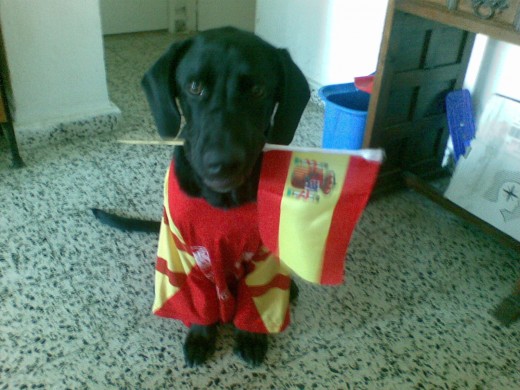 esque le encanta los mundiales de españa¡¡ esque le encanta los mundiales de españa¡¡