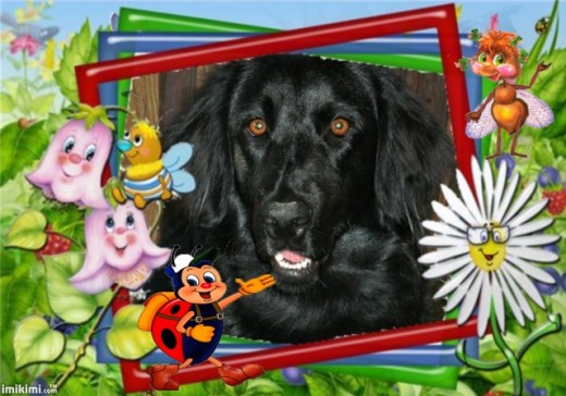 WALLACE 