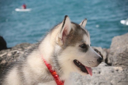 Aika en la playa