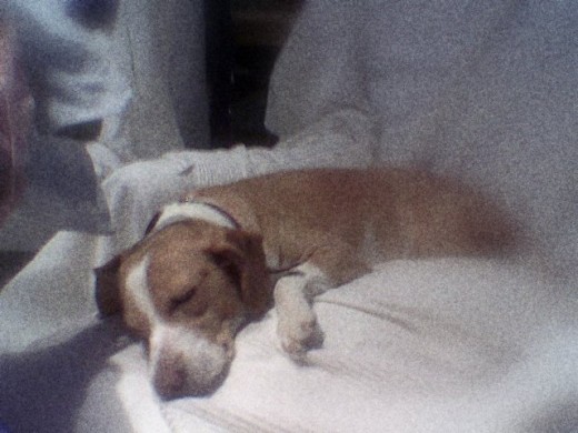 Mi rosquillita dormida