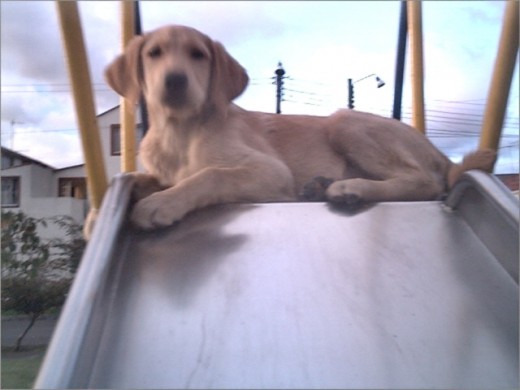 De tres meses 2005