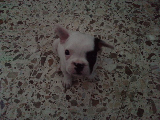 con 2 meses con 2 meses