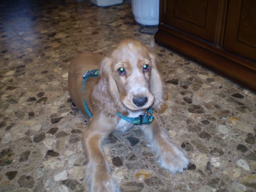 ESTA ES NENA AQUI TENIA CUATRO MESES