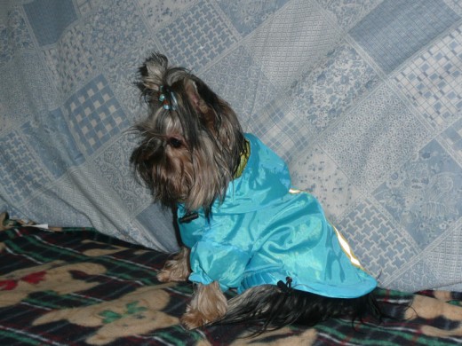 Aqui con su chubasquero azul y su lacito a juego