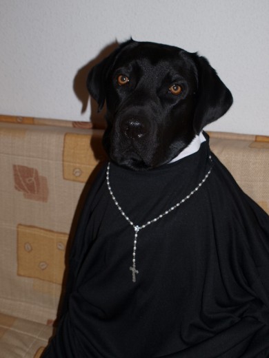 Neo en halloween