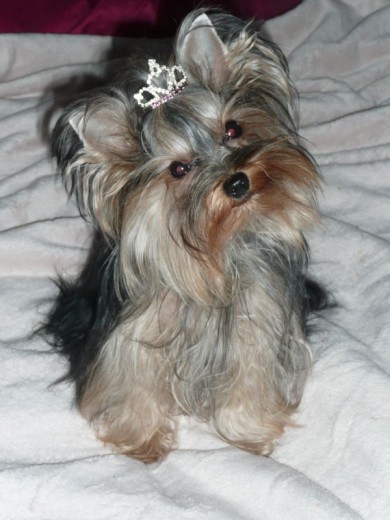 Mi pequeña princesita