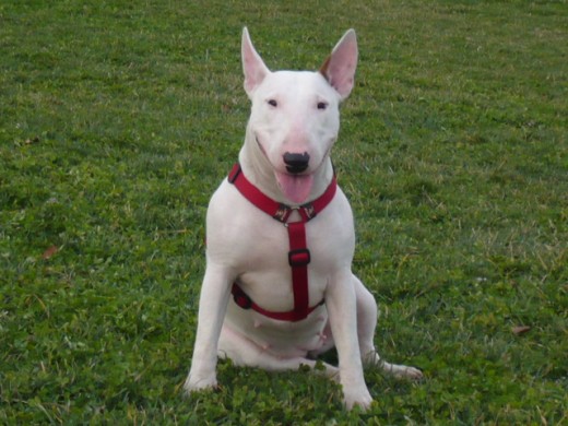 noa en el parque cabecera