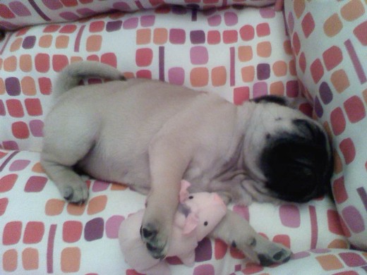 zzzzzzzzzz zzzzzzzzzz