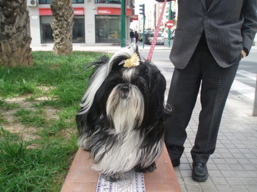 lolita celebrando el domingo de ramos