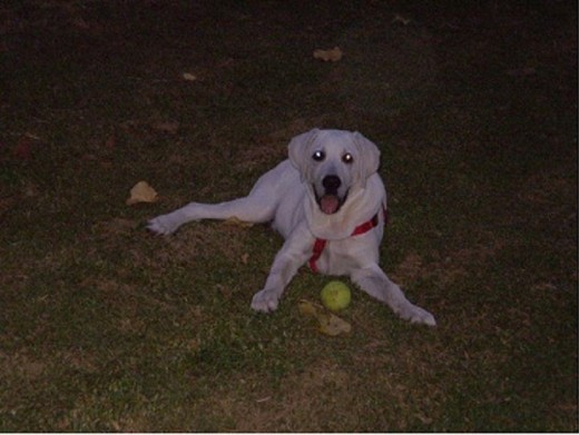 Dylan en el cesped con su pelota.