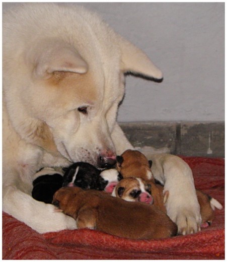 Un abrazo en familia!