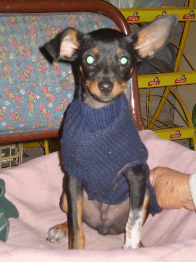 la primer foto del año 2009 la primer foto del año 2009