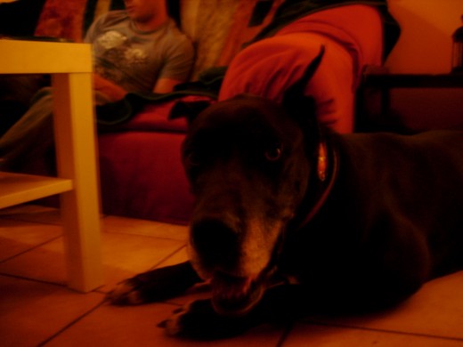 mi mami tiene que buscarme una foto mas chula mi mami tiene que buscarme una foto mas chula