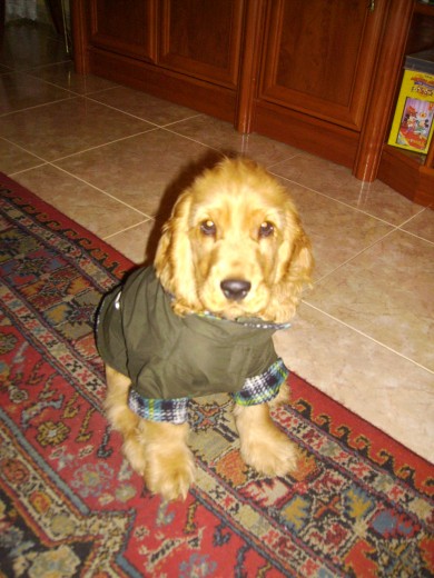 Con su abriguito verde...
