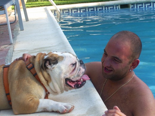 valentino en la piscina