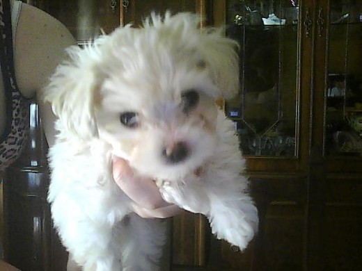 Es hermosa!!:)
