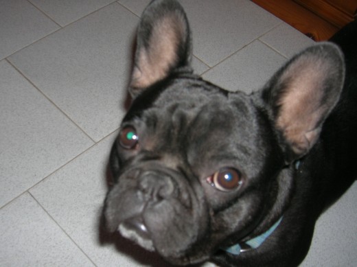 Jimmy con cara de weno
