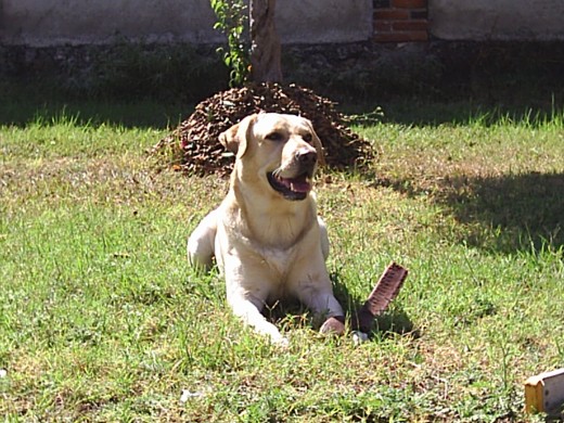 esta hermoso! esta hermoso!