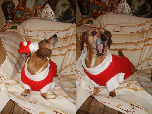 cantando en navidad cantando en navidad