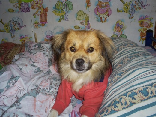toy en la cama,jijiji toy en la cama,jijiji