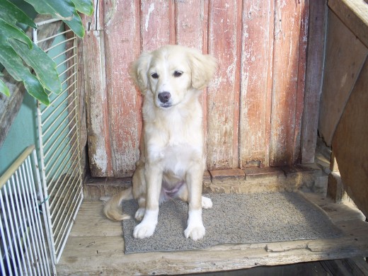 soy muy linda yo............