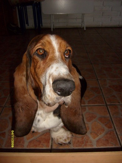 Mirando hacia la cocina...