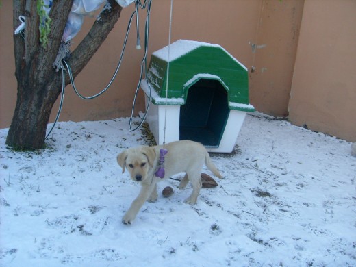 Nina con 2 meses saliendo un poco al patio en un dia de nieve ;)