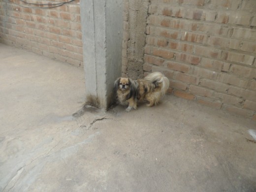 mirando a la cámara