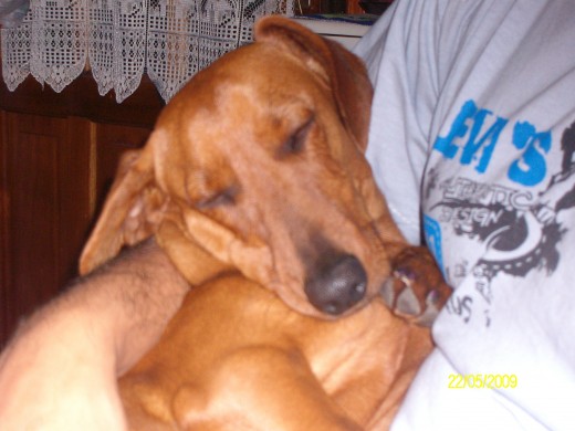duerme como bebe en brazos  de los que conoce.