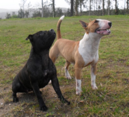 BImba&Lola BImba&Lola