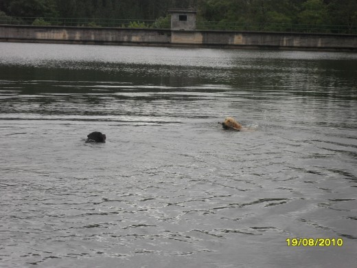 Jugando en el agua