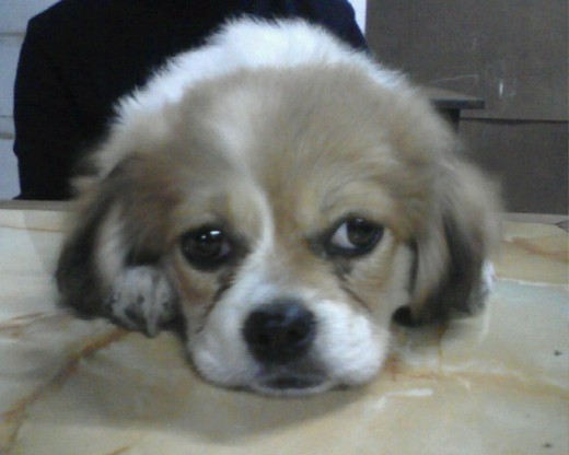 aca me asuste porq mi tio noe fue el q me tomo la foto