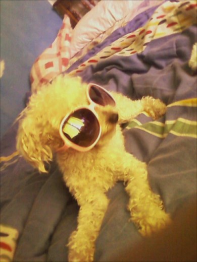 mi tomy kn lentes