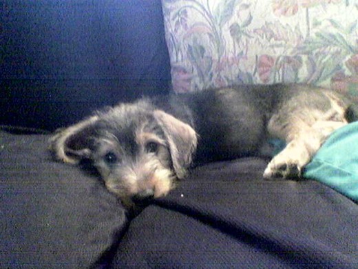 Wanda n l sofa...xDD Wanda n l sofa...xDD