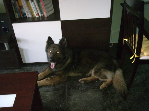 Yacko