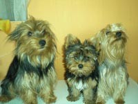 preciosos los tres padre e hijos