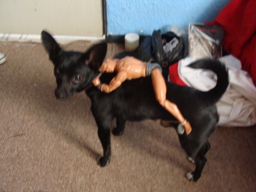 estabamos jugando con un jugete viejito estabamos jugando con un jugete viejito