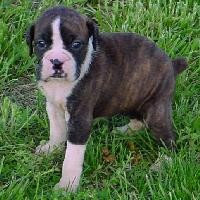 es un peerito peqeño pero no kire decir k no sea
listo!!!!!!!!!!!!!!!!!!!!!