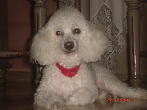 ESTA ES MI HERMOSA CANDY. ESTA ES MI HERMOSA CANDY.