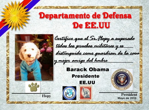 Como ven no soy un perro cualquiera tengo mi popio certificado...