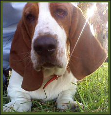 Este dia fuimos a llevarlo al parque era un domingo hace como un 6 meses jjeje se ve hermoso mi chore   :)  :)