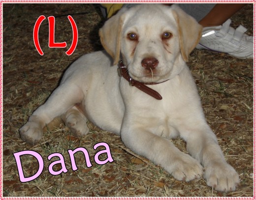 DANA CON 2 MESES