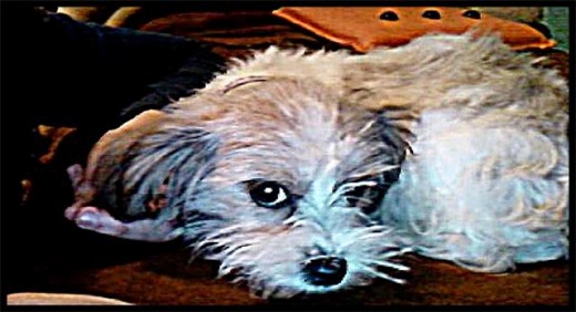 Diva con 4 mese Diva con 4 mese
